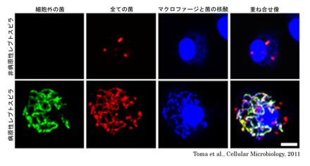 for_HP_igakubu_orginalsize